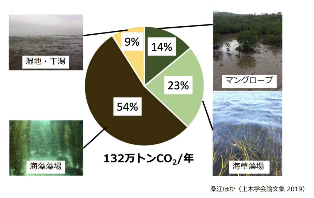 日本で多い炭素吸収源