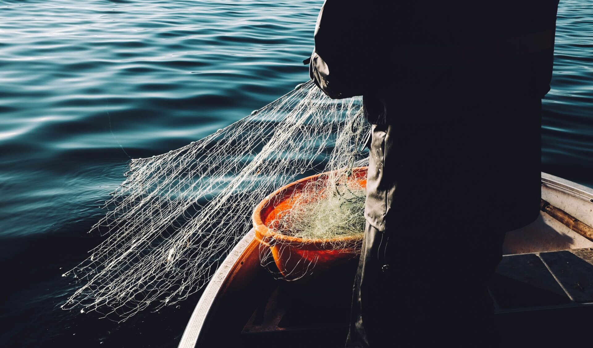 過剰漁獲から持続可能な漁業へ