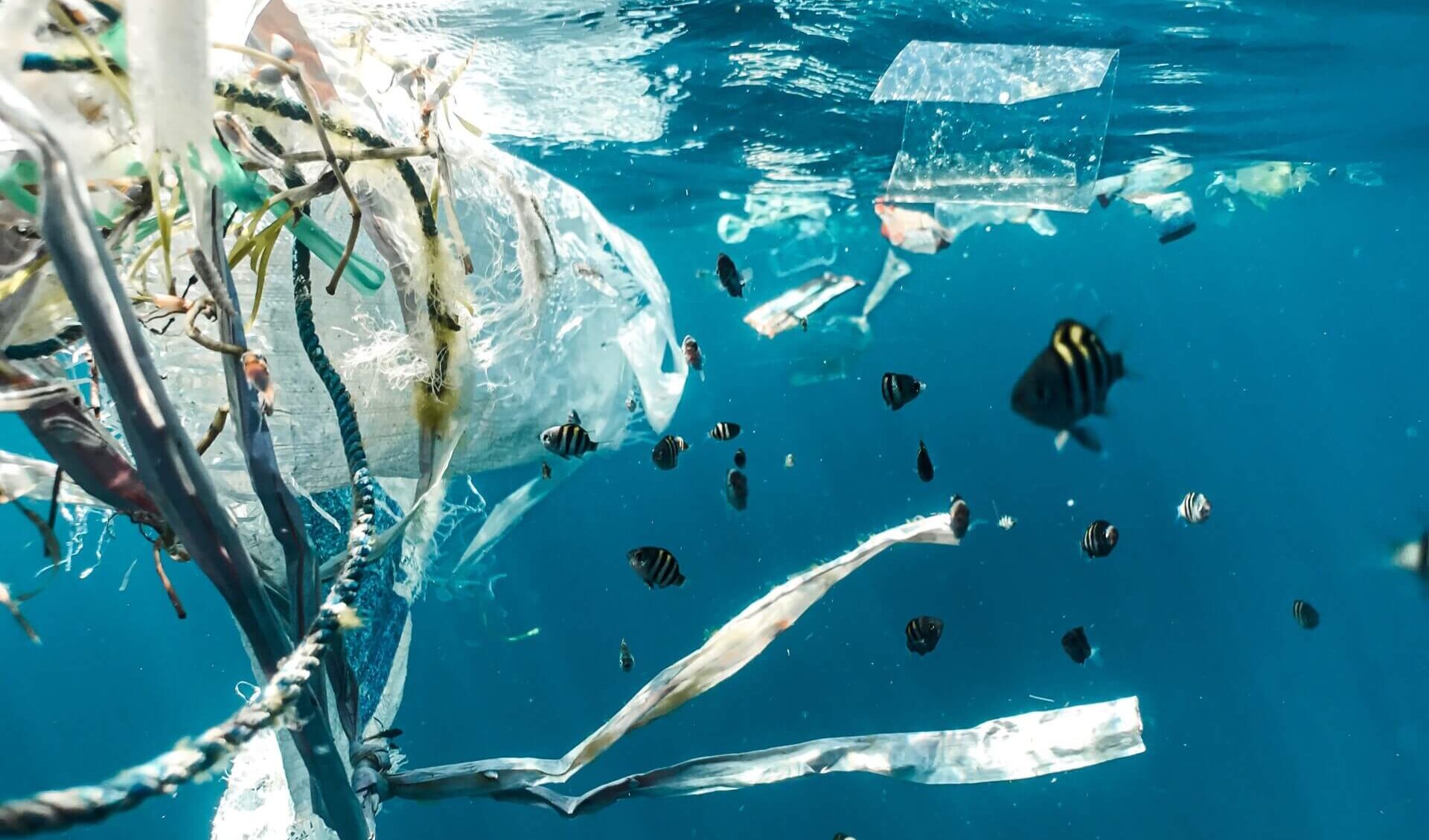 【デジタル愛媛ツアー】海洋プラスチック問題にも取り組む鯛一郎クン！
