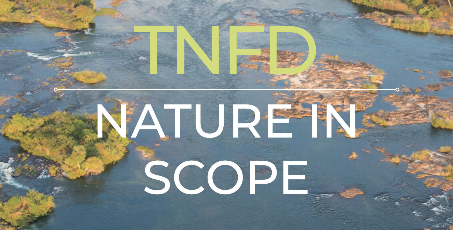 TNFD 自然関連財務情報開示タスクフォースとは？