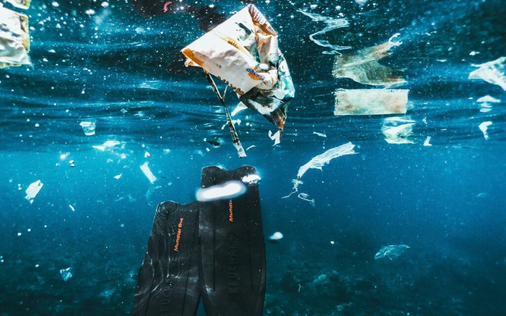 プラスチックによる海洋汚染