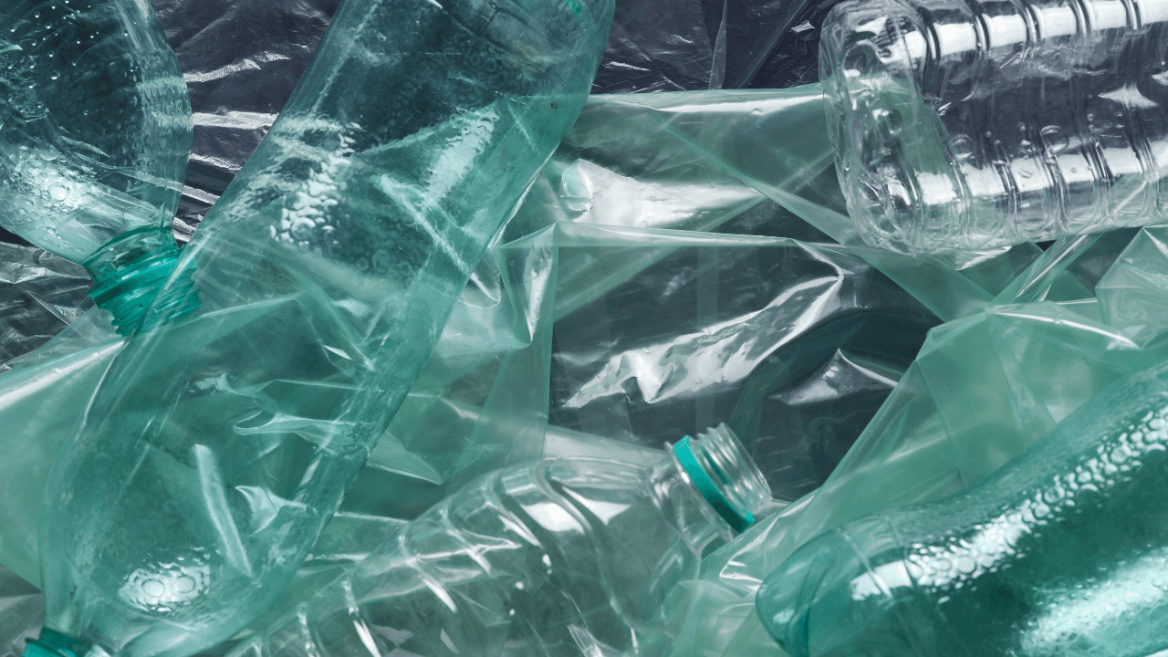 CDP、プラスチックによる影響とリスクに関する回答を要請