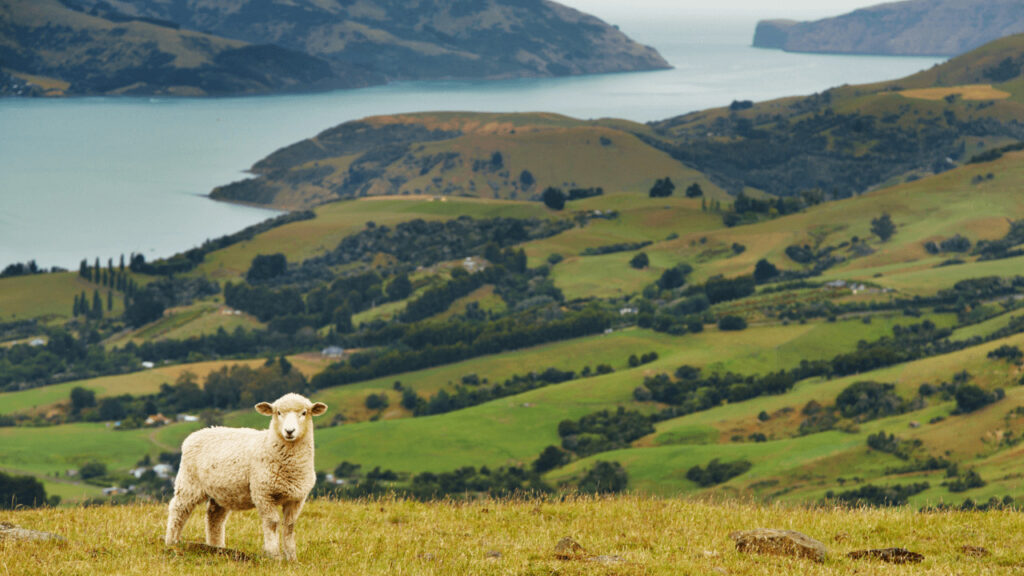 自然を大切にするニュージーランド、旅行者に対し責任ある行動を求める