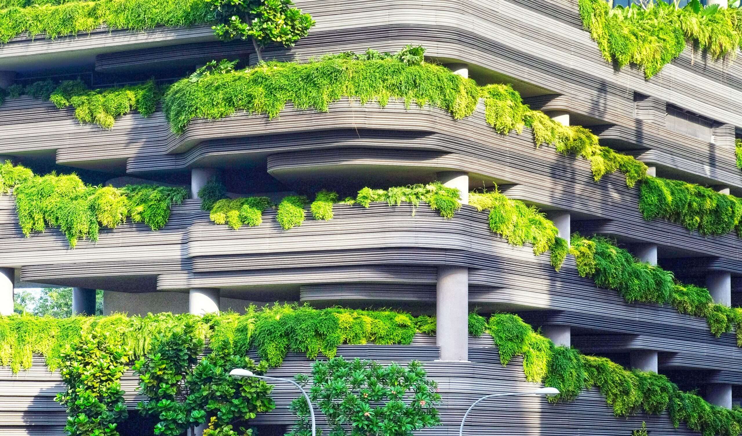 持続可能な建築の未来｜LEED認証のすべてを知ろう